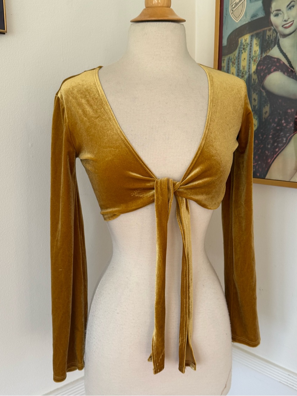 Velvet Tie-Front Crop